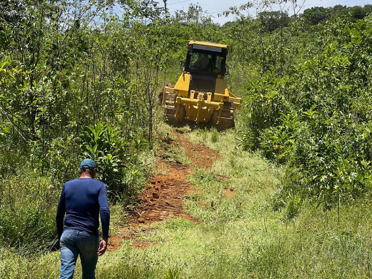 Obras